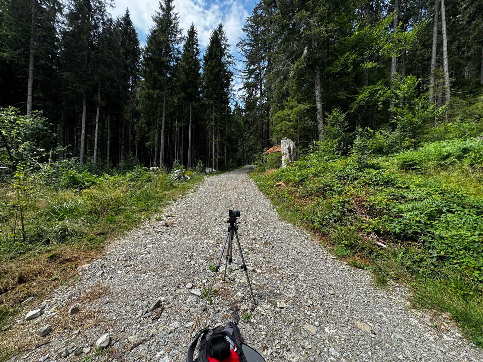Open gravel, Open, bright