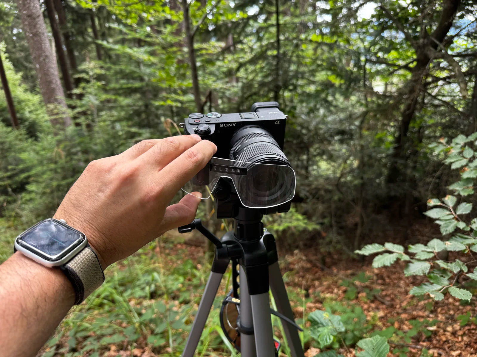 one frame per lens, held flat to the camera