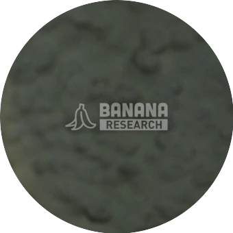 View through the Prizm Black lens: Cool grey green. Measured 13.1% of the clear control, stated VLT 11%.